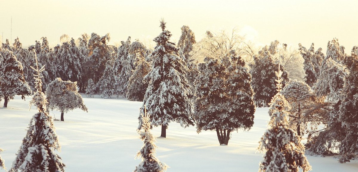 Braze's tweet photo. The Marketer’s Holiday GIF Guide https://t.co/5foIAgK4C1 #AppboyRELATE https://t.co/MVpyKqE2qI