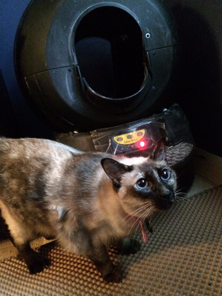 andreafalcs's tweet photo. @litterrobot #litterrobot #freelitterrobot our cats love their Litter Robot! We would love the new Open Air! https://t.co/AFzC6YHm5S