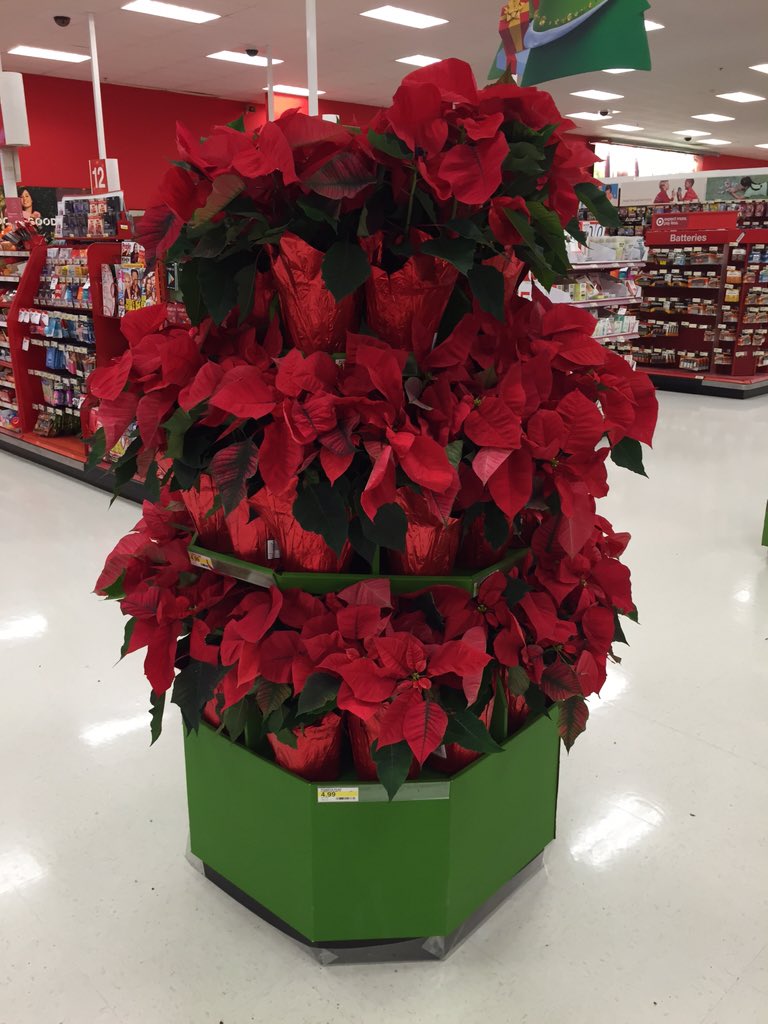 lanier_loftin's tweet photo. In the store on the floor. Poinsettia tree! @LHaas87 @garmtgt https://t.co/eOGqvWeXm8