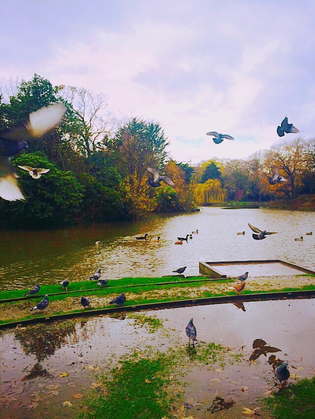 Chester Daily Deals tweet media