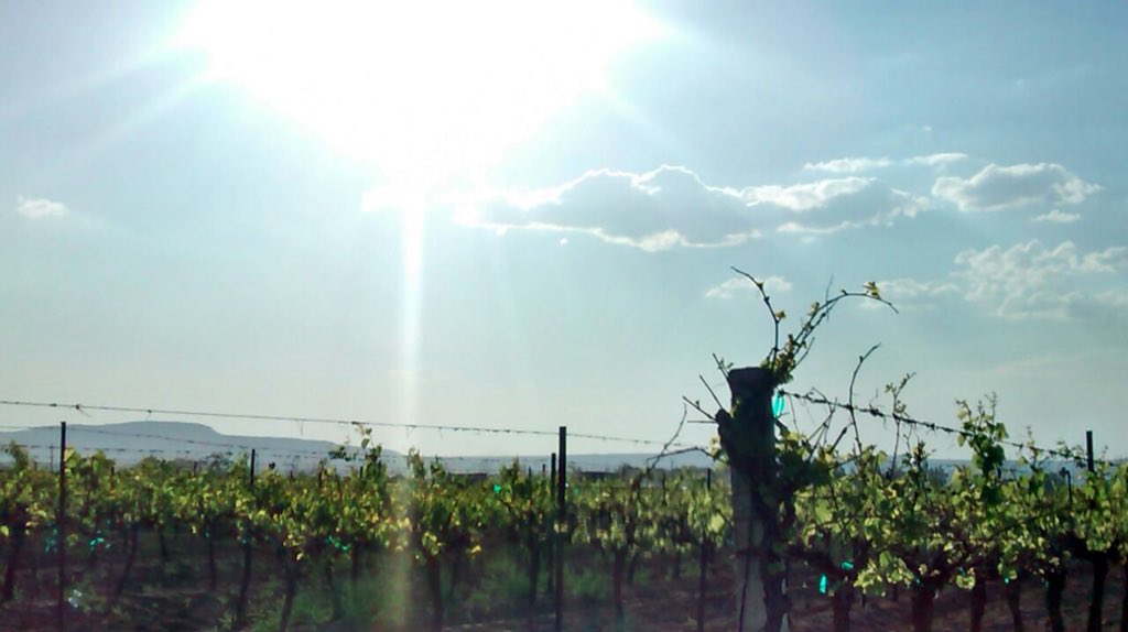 Buenos días #winelovers!! Iniciemos #Diciembre con la mejor actitud ! #Navidad2015