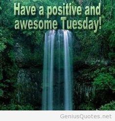 ShavedIceWPB's tweet photo. Have a #positive and awesome #Tuesday!  #quotes #bewell #livefree #haveagreatday https://t.co/SguyCoJKJj