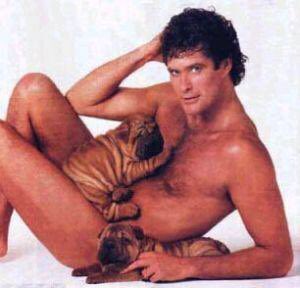 outrageous74's tweet photo. Hasselhoff puppies #BadWrappingPaperPrints https://t.co/Q8L6zLmZ58