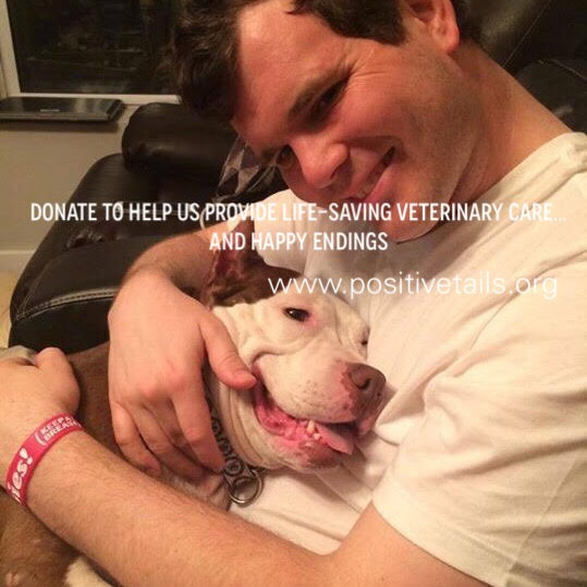 PositiveTails's tweet image. It's #GivingTuesday! Visit tinyurl.com/z98jmn2 &amp;amp; donate to support our life-saving work for animals in need!