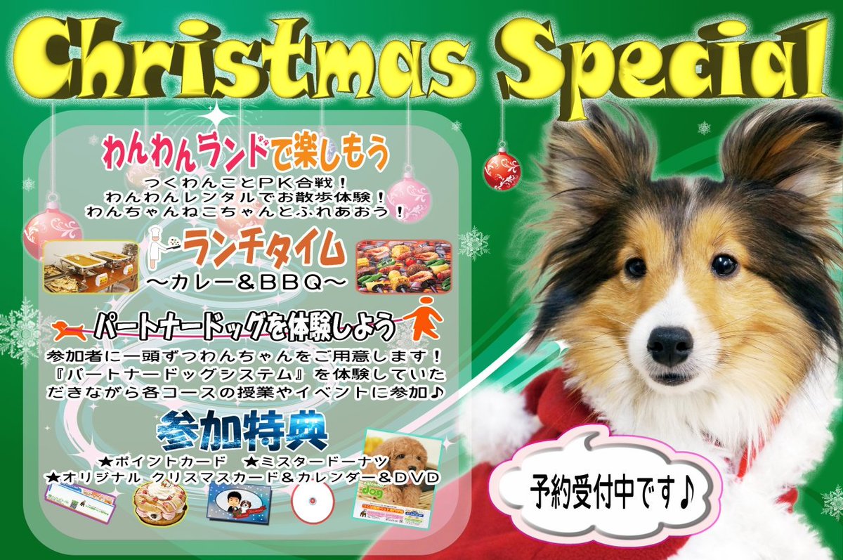 つくば国際ペット専門学校 En Twitter 12月23日はオープンキャンパス クリスマススペシャル 内容盛りだくさんでお届け 詳細は特設ページへ T Co Wqemylthqv T Co Elcg6ymnes つくば国際ペット専門学校 En Twitter 12月23日はオープンキャンパス クリスマススペシャル 内容盛りだくさんでお届け 詳細は特設ページへ T Co Wqemylthqv T Co Elcg6ymnes