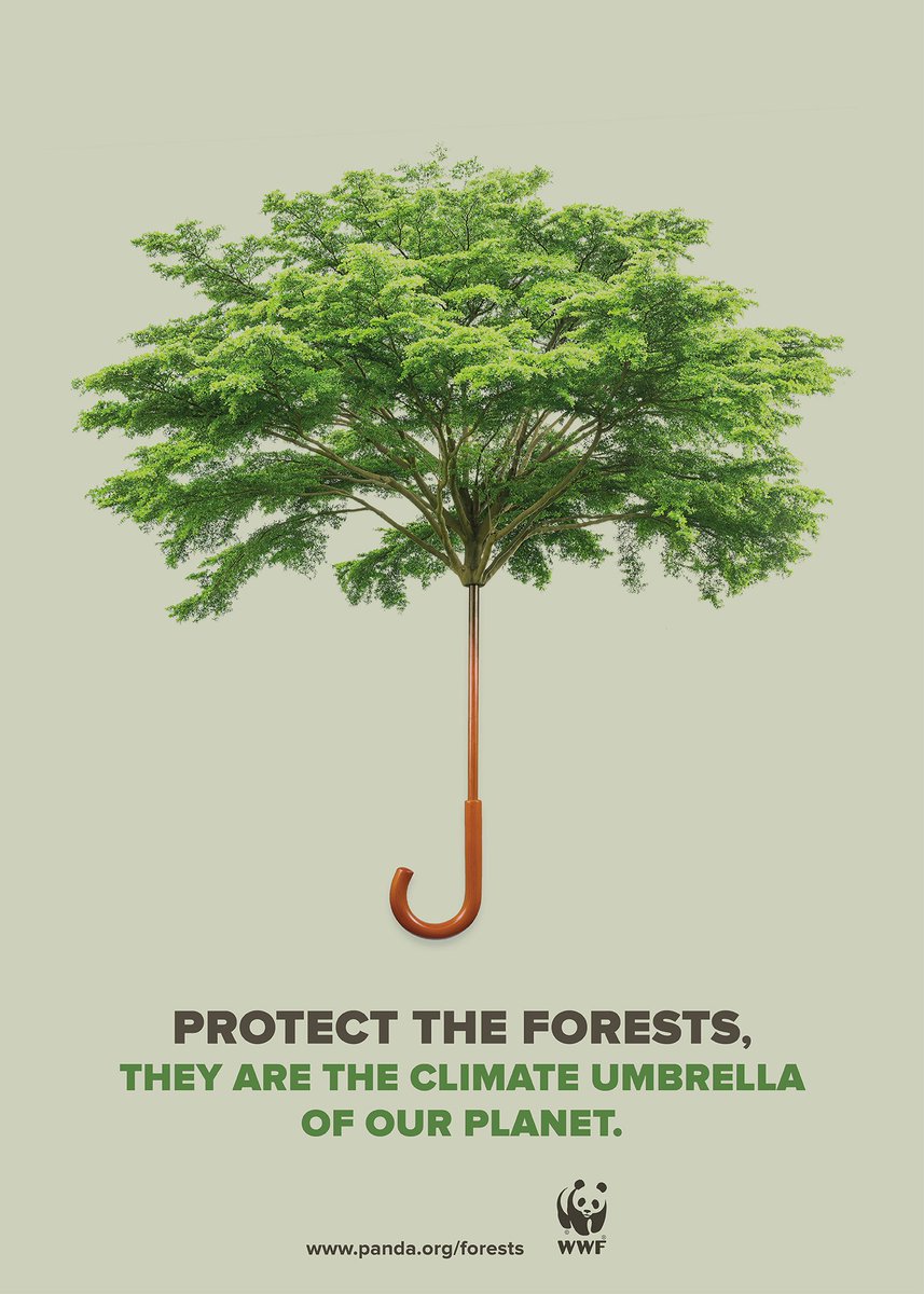 Deforestation &amp; forest degradation are responsible for about 20% of global emissions. We need action!  #COP21