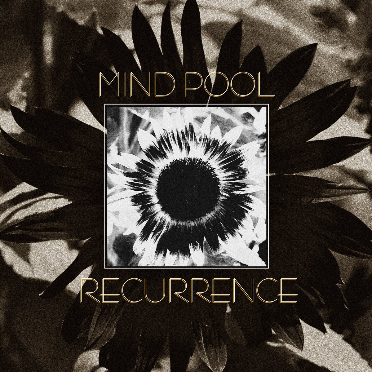 Recurrence. 

Thank you to everyone involved with this project and EP!

Have a superb day further!