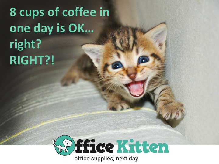 OfficeKitten's tweet photo. #workproblems
#stayawake https://t.co/nJEYTjs1y8