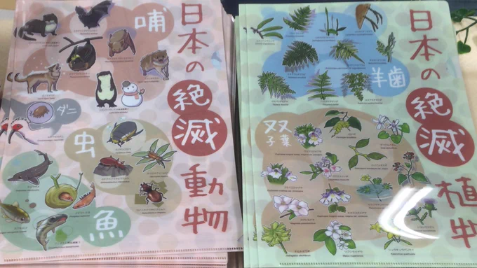 足立区生物園さんのミュージアムショップ 
で日本の絶滅種クリアファイルと生き物絵合わせパズルを販売していただいてます。おかげさまで絶滅種クリアファイルの方は在庫わずかで絶滅しそうです。 