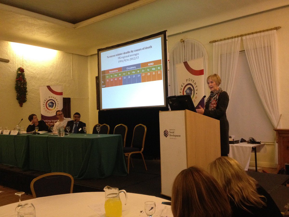 fuelpovertyni's tweet photo. Barbara Gray @BrysonEnergy @UlsterUni research findings-Alzheimer&dementia patients at risk in cold weather #FPC2015 https://t.co/TlRNee0UZ4