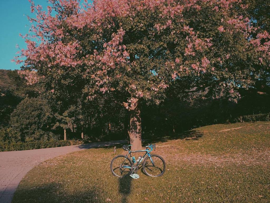 TuttoMTB's tweet photo. dmitry_chan / 冬日  賞花.續
Hakulamatata～：）
#seek. #work. #rockclimbing. #climbing. #triathlon. #triathletes. #extremesp… https://t.co/PDleOWA6FG