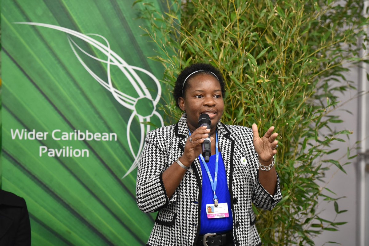 #COP21 - Les conférences ont commencé aujourd'hui sur le Pavillon Caraïbe. Au programme: les énergies renouvelables