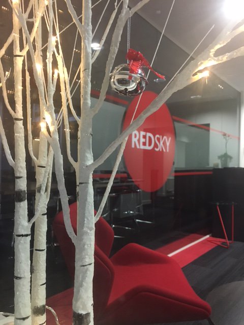 redsky_learning's tweet photo. Feeling festive #redskylearning #christmascountdown #leadership https://t.co/qhUKhVWBMJ