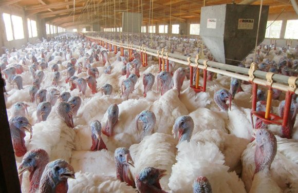 jon_mcenroe's tweet photo. –Toma, los dos mil pavos que te debía. https://t.co/XLVExq29E8