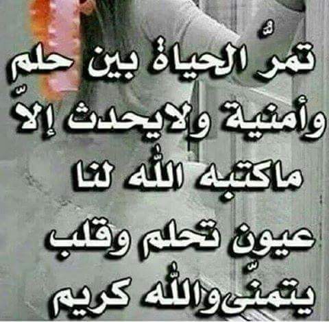 aa529653's tweet image. 