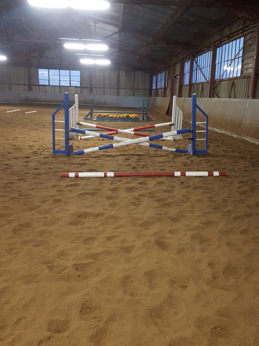 AthleticEq's tweet photo. Cute little grid for not having properly jumped since August! #Yay #DoubleOh is so stinking cute!!! https://t.co/FL7SHLNLCI