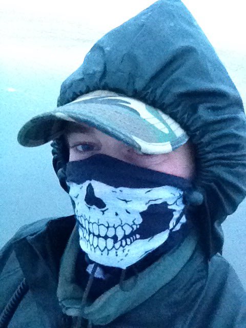 SPerdus's tweet image. 