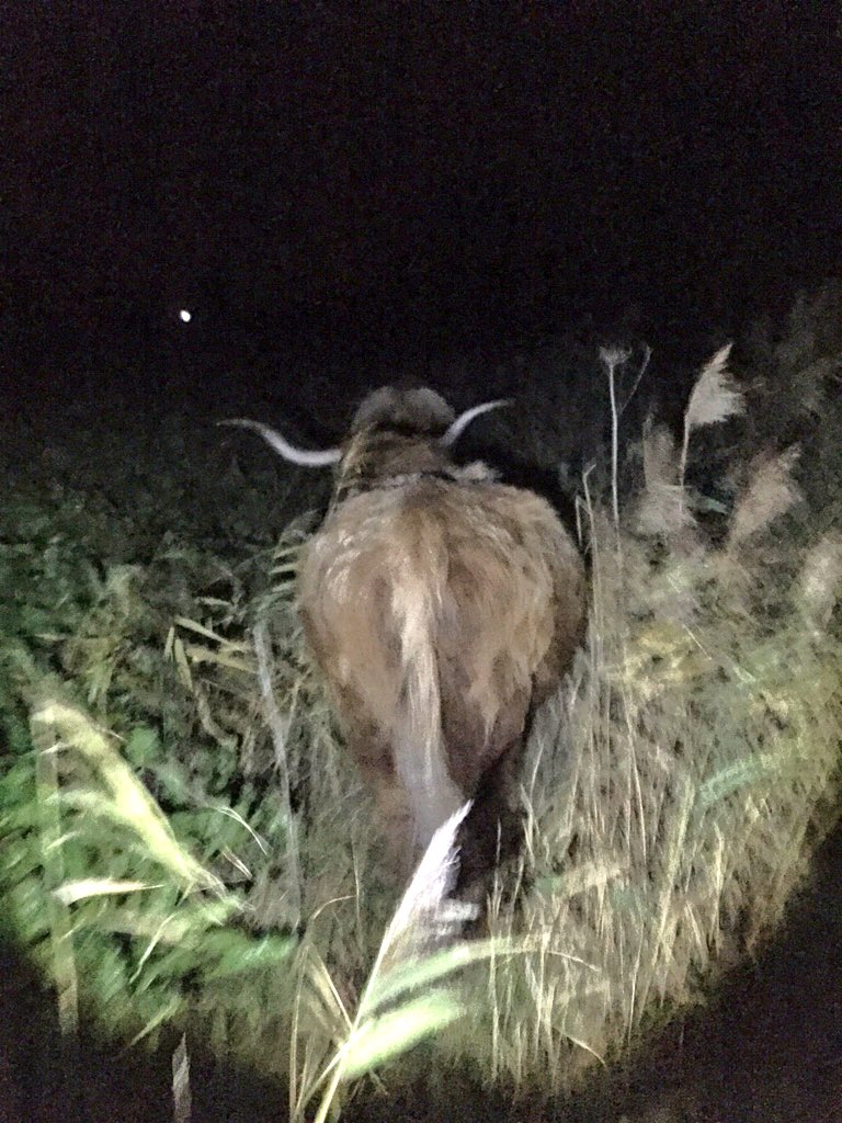 EastonOtley Farms tweet media