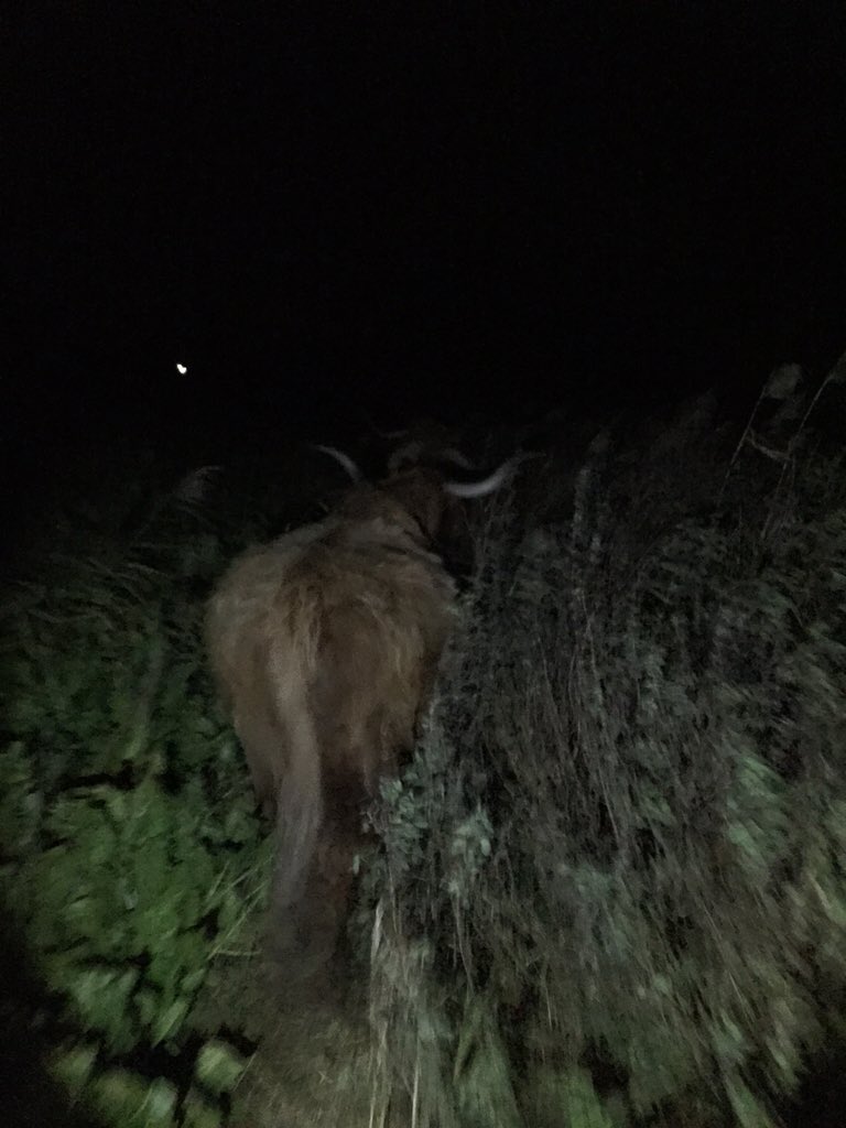 EastonOtley Farms tweet media