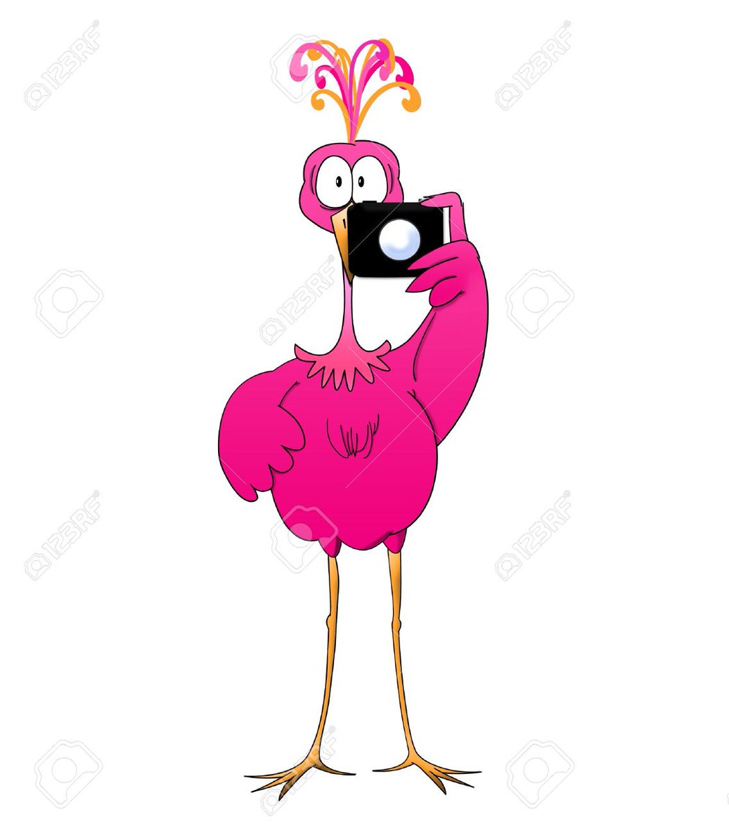 GoogleExpertUK's tweet photo. In Juneau, #Alaska if you own a flamingo it is against the law to take it into a barber's shop. https://t.co/E9pA1Ul5AA
