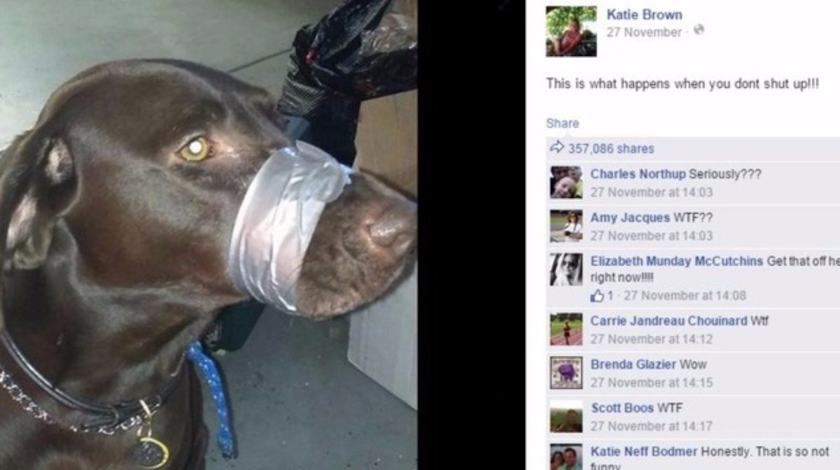 itvnews's tweet photo. Woman who duct-taped dog's mouth shut tracked down and facing prison after global outcry https://t.co/PRqqWojSZb https://t.co/Z5eGD8U97i