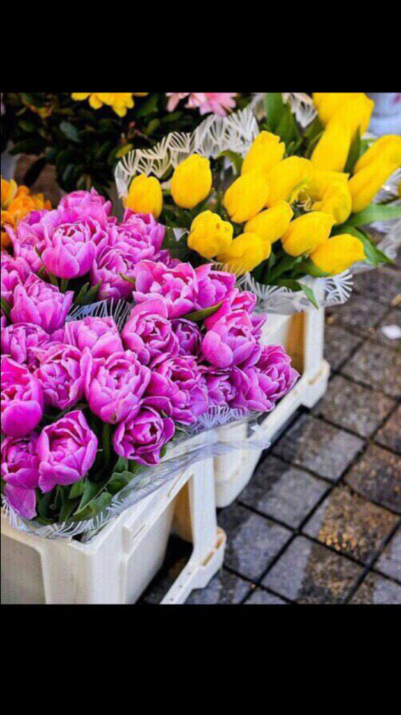khaledbabtain's tweet photo. #قروب_عزف_الحروف

    @n___n___z 
ألف شكر لاحلى قرووووب https://t.co/WJwpMT2MG4