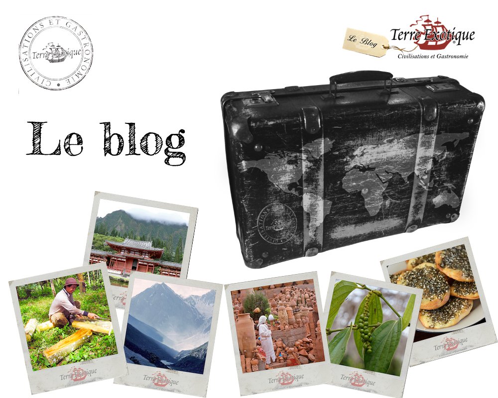 TerreExotique's tweet image. Actus, voyages, embarquez dans l&apos;aventure de Terre Exotique avec notre #nouveaublog : bit.ly/1QbnrAS