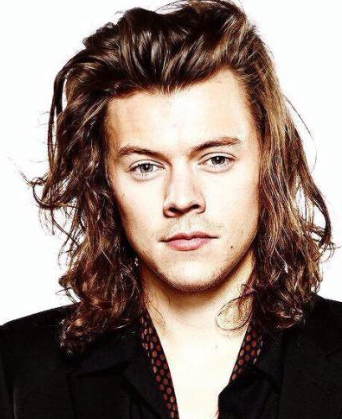 harrygifsss tweet picture