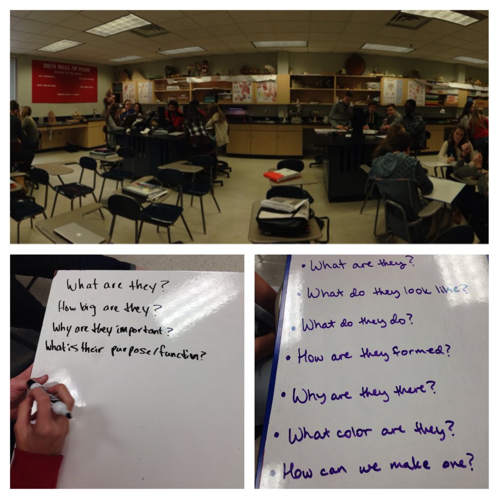 science_at_bsm's tweet photo. #questionfocus @RightQuestion #biochat #cellmembranes https://t.co/iXSajG6nLp