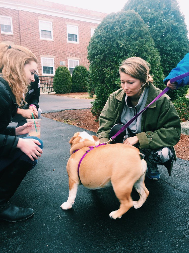 lomalley21's tweet photo. Stonehill allows me to reach out of my comfort zone. @stonehill_info @MaureenEBoyle1 #GivingTuesday https://t.co/0rs0S8sRyn