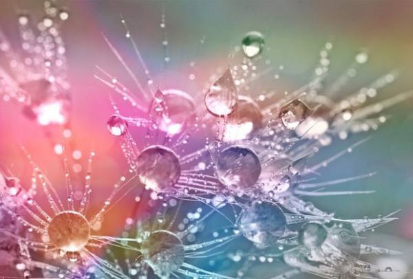 DanzeriaWeb's tweet photo. ¿Consumes MDMA? Estos tips pueden salvarte la vida https://t.co/aGCR4dlAaX #drogas #drugslive #drugscongres https://t.co/reLqY6AAyf