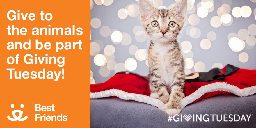It's #GivingTuesday! Donate to @bestfriends and your gift will go 2x as far for animals: bit.ly/BFASGT https://t.co/sBW0Hju742