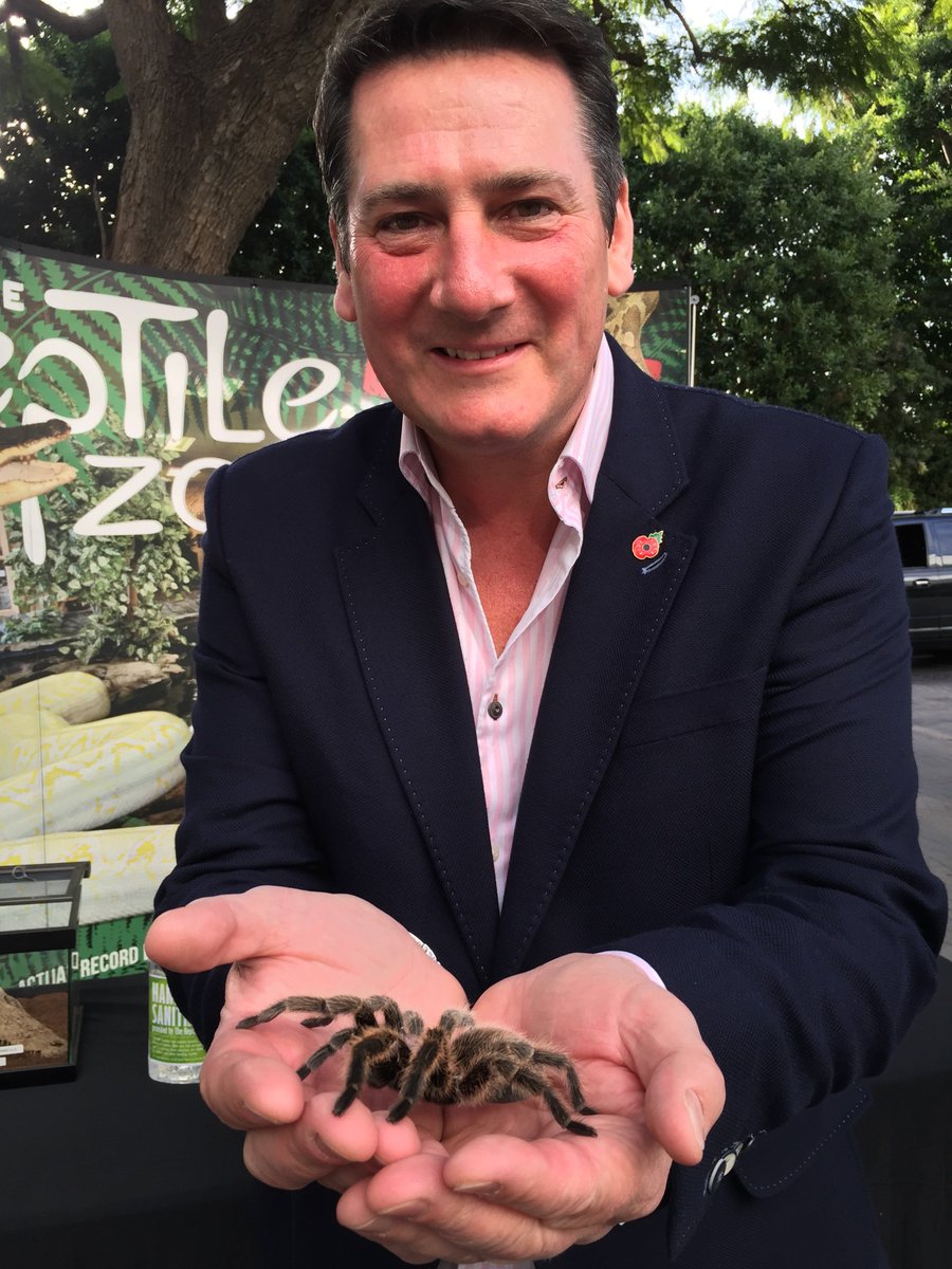 TheTonyHadley's tweet image. He needs more spiders &amp;amp; jungle time!...Vote Tony! mob: 6442409 Tel: 09020442409 via the app @imacelebrity #ImACeleb