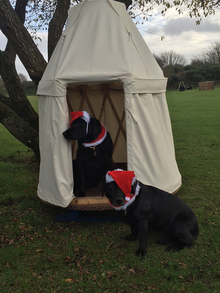#MerryChristmas #from #young #dorset #yurts to all #dog #cat #and#animal #lovers