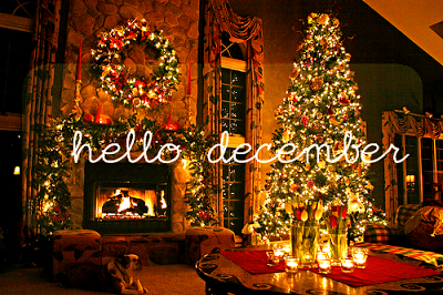 thekindagent's tweet photo. Happy 1st of December! https://t.co/5YtwNsx4JX