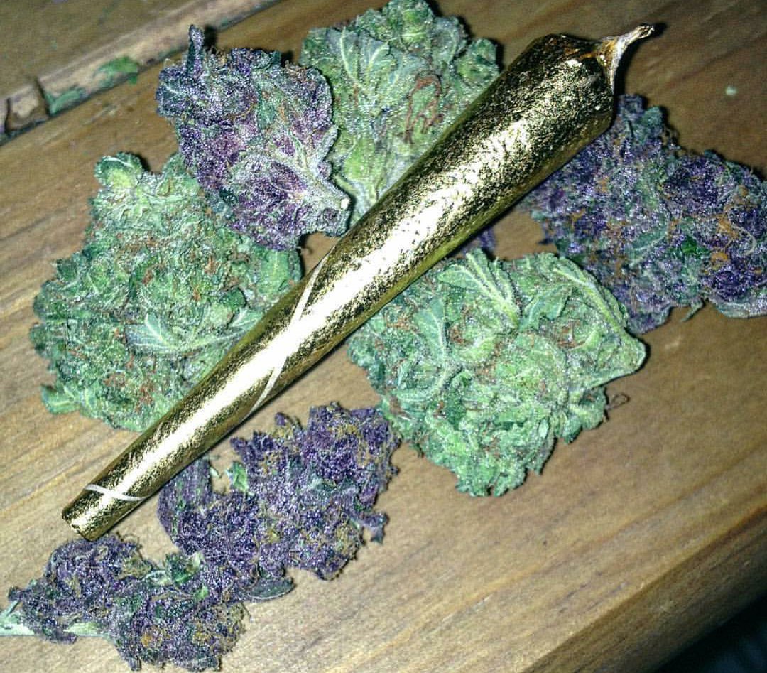 WEEEDP0RN's tweet photo. Rt if you agree this is WEED PORN. https://t.co/9gU6RSmfnE