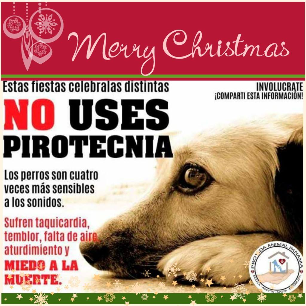 PRO Vida Animal Pana tweet media
