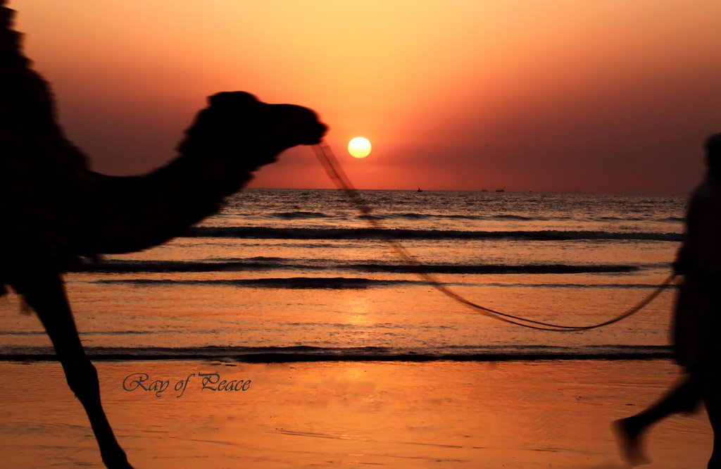 NephKiran's tweet photo. Going back Home
#camel #camelrider #sunset #Karachi #Pakistan #GoingHome #Focus #composition #peace #love https://t.co/Otp2MVaTSQ