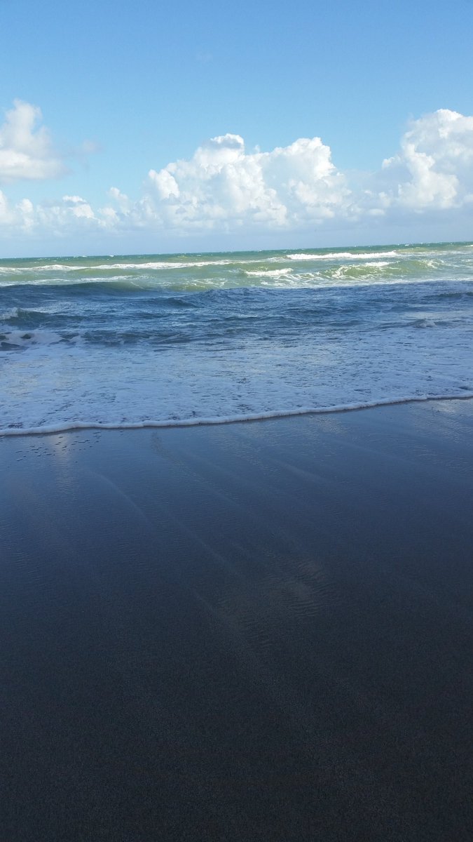 traciew43's tweet image. FL Is great