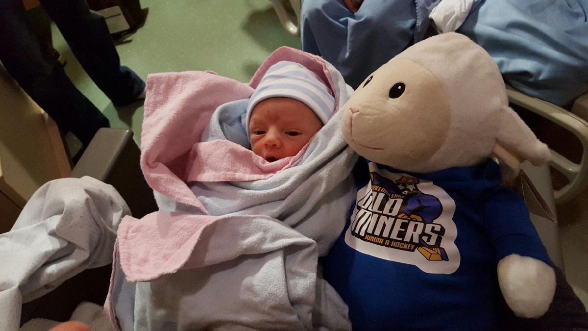 KLGoldMiners's tweet photo. Congrats to fitness coach Amanda &amp; Mark Roy &amp; grandparents Dave (dir of hockey ops) &amp; Debbie Bolger, meet Henry Roy https://t.co/W3F8qbN7Ii