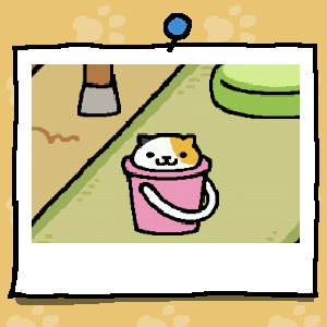 Endo_Goddess's tweet photo. Haha, Neko Atsume.. https://t.co/UqcA24MTZj