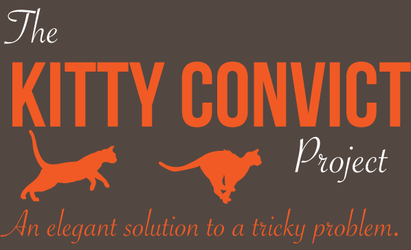 Do you have a #kittyconvict? kittyconvict.com