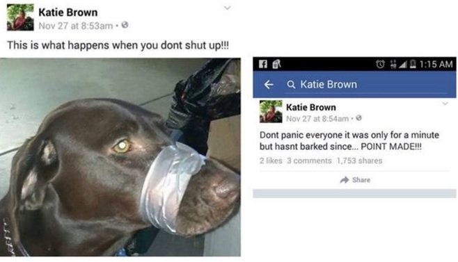 Woman that Taped Dog’s Mouth Shut Has Been Arrested and Charged puls.ly/dg47jQ
