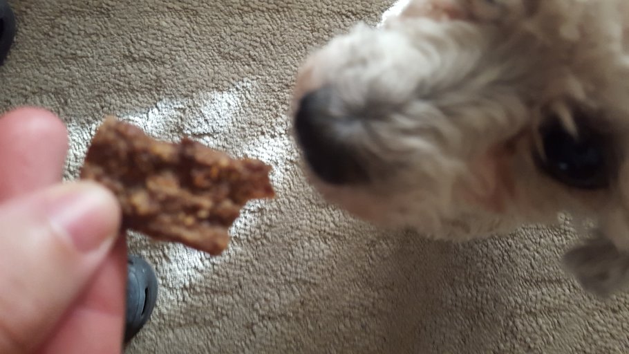 TheArchAngyl's tweet photo. Smiley360 Purina Beyond® Dog Snacks. Find a store near you https://t.co/VVV6jSrwQX #BeyondSnacks #FreeSamp https://t.co/e5rP4WNfrS