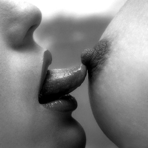 MistressLucia_'s tweet photo. @BestPornPicsss
@cherrycircle2
@Smut_Peddler
@PornoMexico2
@trozo2015
@anibal2479
@curvy_sherri https://t.co/OIPjIA0z4I