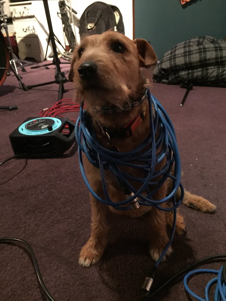 Luna Kiss tweet media