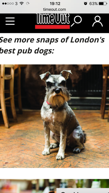 Pubdogsoflondon Hashtag On Twitter - 