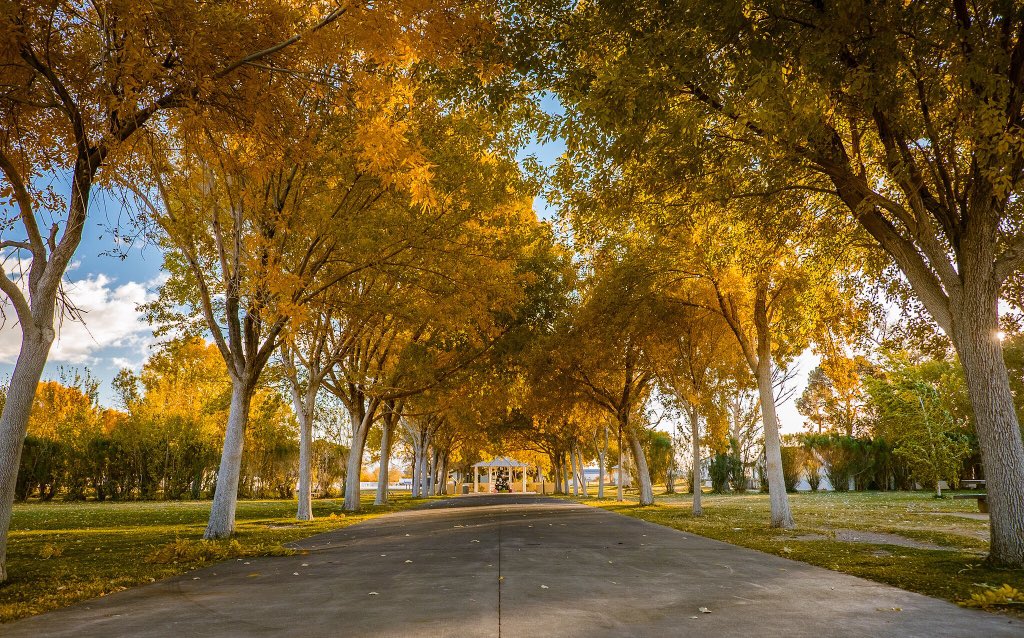 CityOfLasVegas's tweet photo. Are we in #Vegas right now? YES! Beautiful fall colors at Floyd Lamb Park at Tule Springs (in Centennial Hills)🍂🍁 https://t.co/oWREImp9Gt
