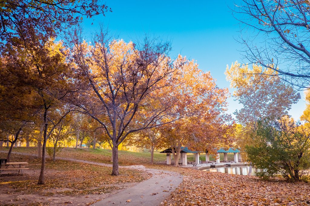 CityOfLasVegas's tweet photo. Are we in #Vegas right now? YES! Beautiful fall colors at Floyd Lamb Park at Tule Springs (in Centennial Hills)🍂🍁 https://t.co/oWREImp9Gt