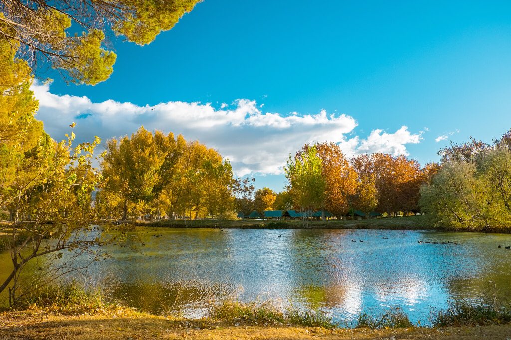 CityOfLasVegas's tweet photo. Are we in #Vegas right now? YES! Beautiful fall colors at Floyd Lamb Park at Tule Springs (in Centennial Hills)🍂🍁 https://t.co/oWREImp9Gt